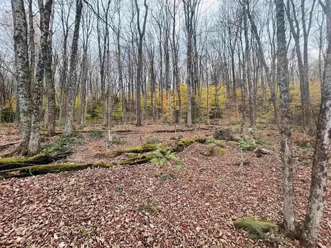 00 Alpendorf Avenue Readsboro VT 05350