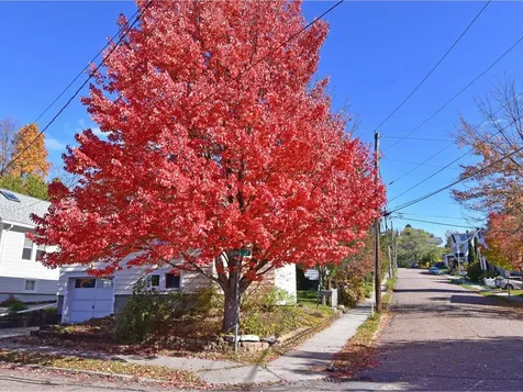 34 Hoover Street Burlington VT 05401