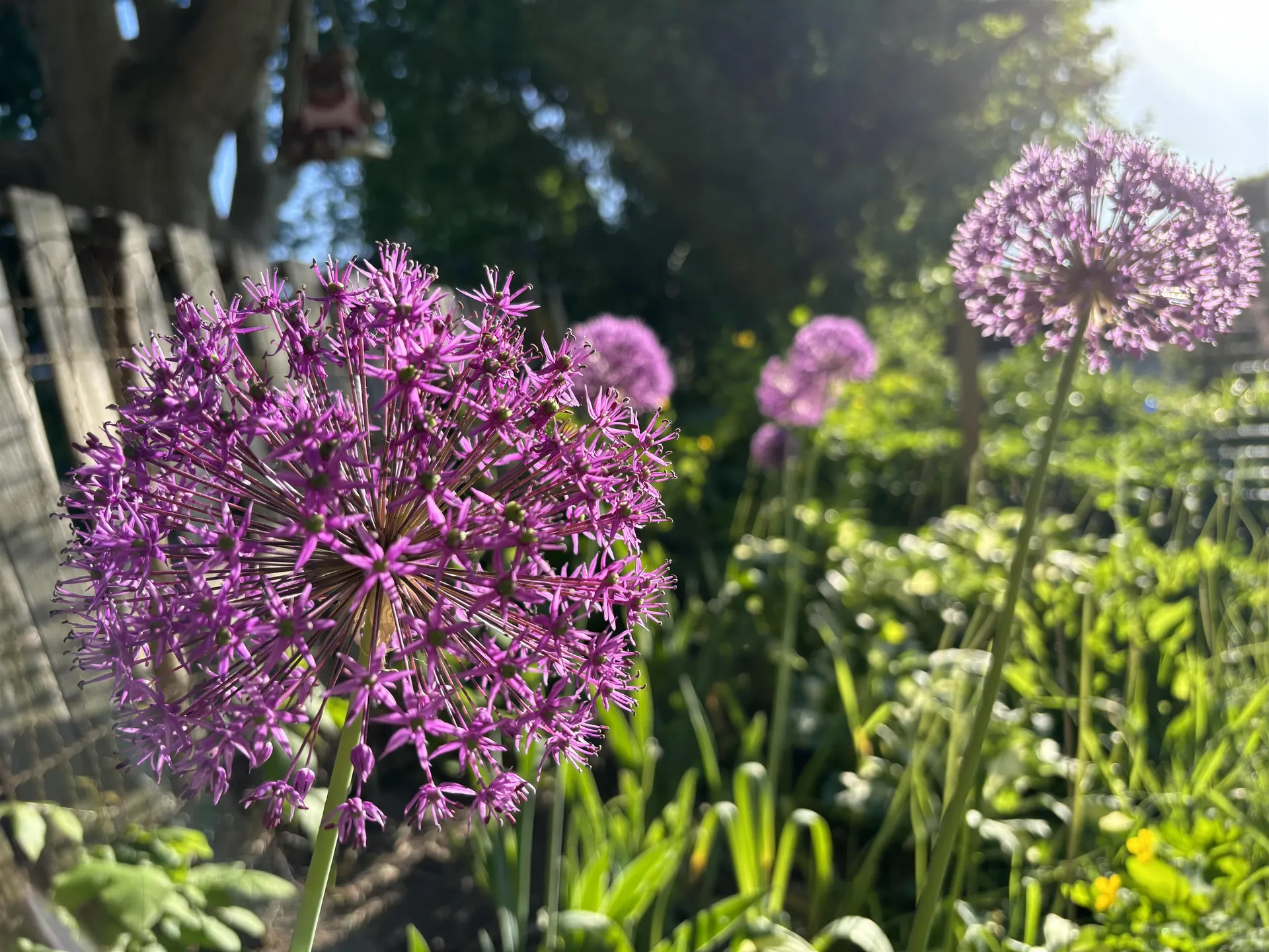 130 Walnut Street Rutland City VT 05701