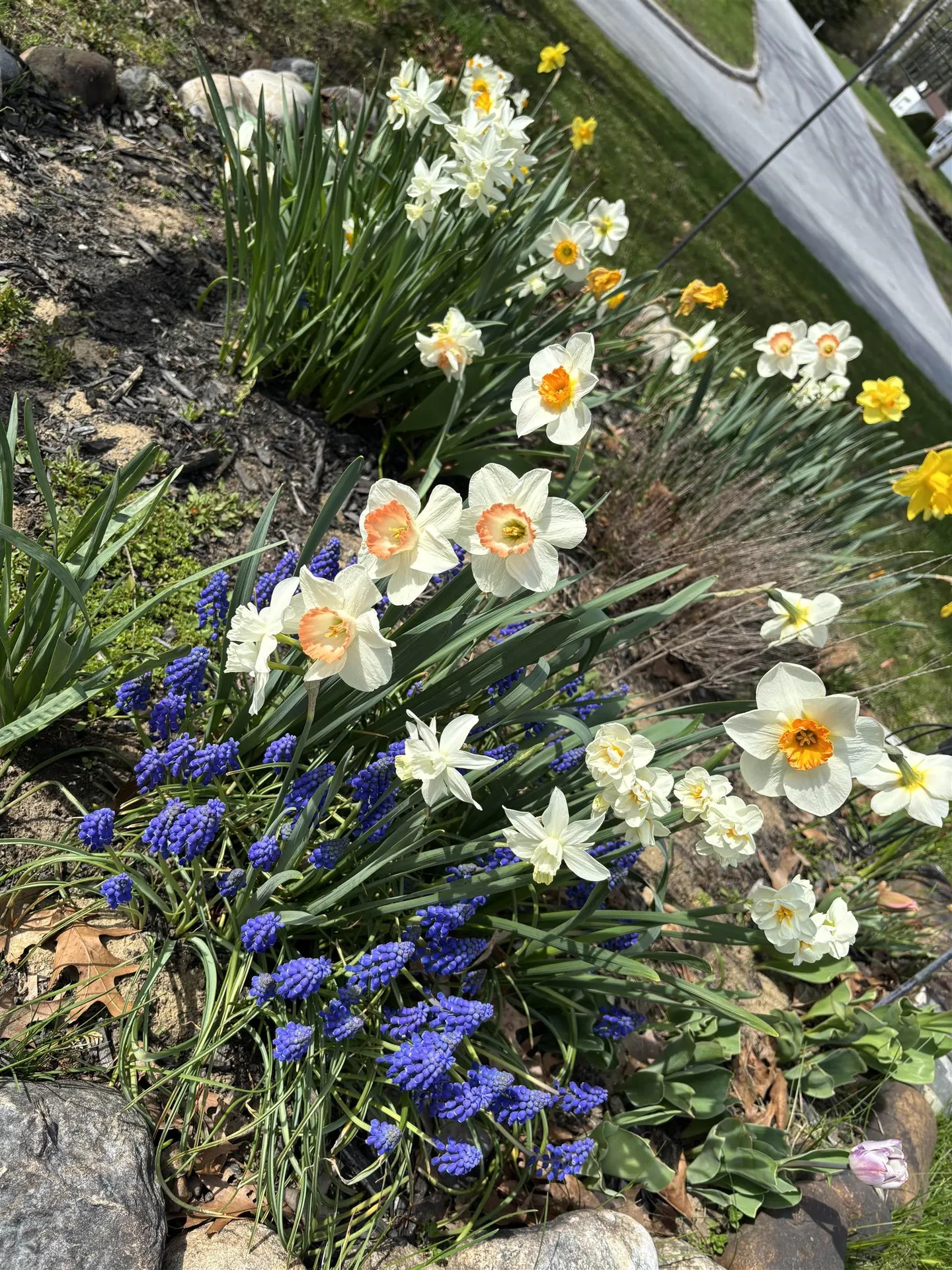 130 Walnut Street Rutland City VT 05701