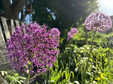 130 Walnut Street Rutland City VT 05701