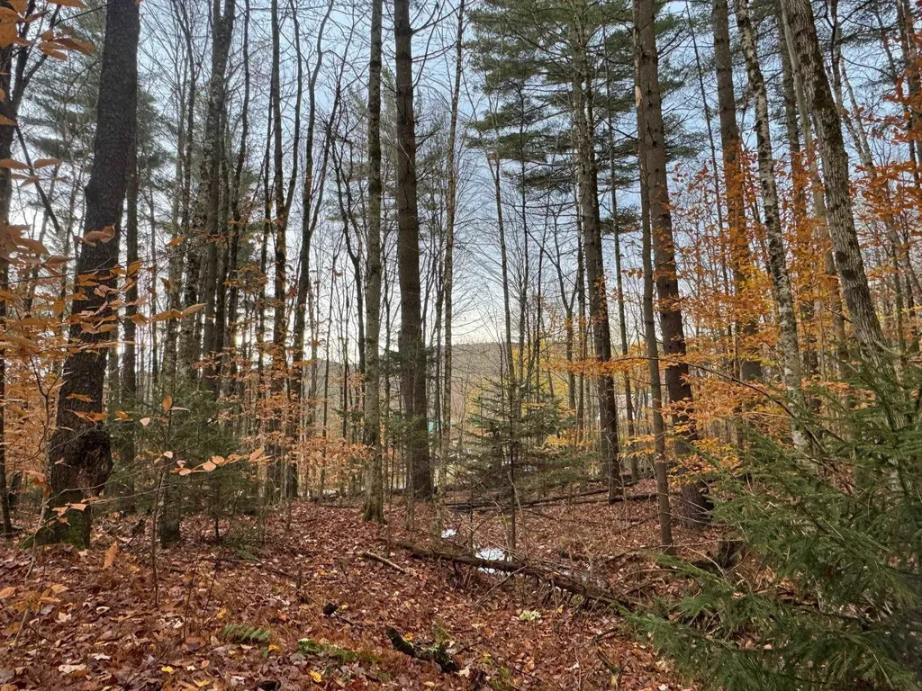 41 E Hampshire Hill Road Worcester VT 05682