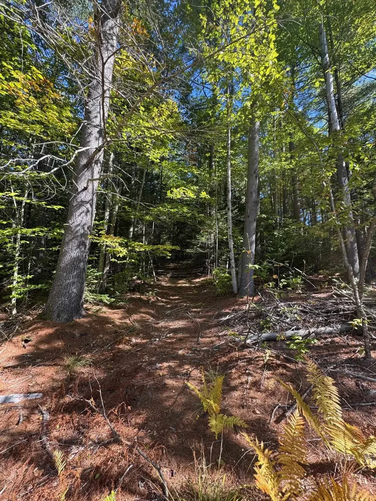 41 E Hampshire Hill Road Worcester VT 05682