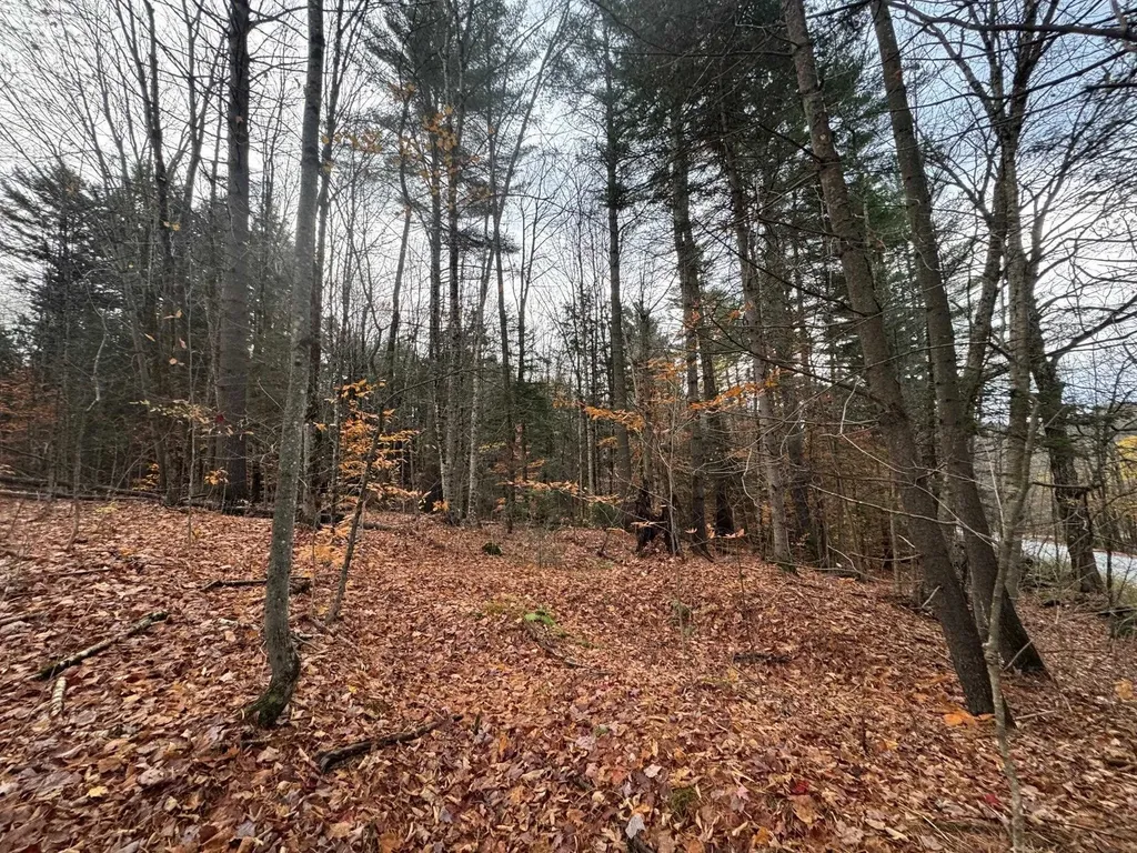 41 E Hampshire Hill Road Worcester VT 05682