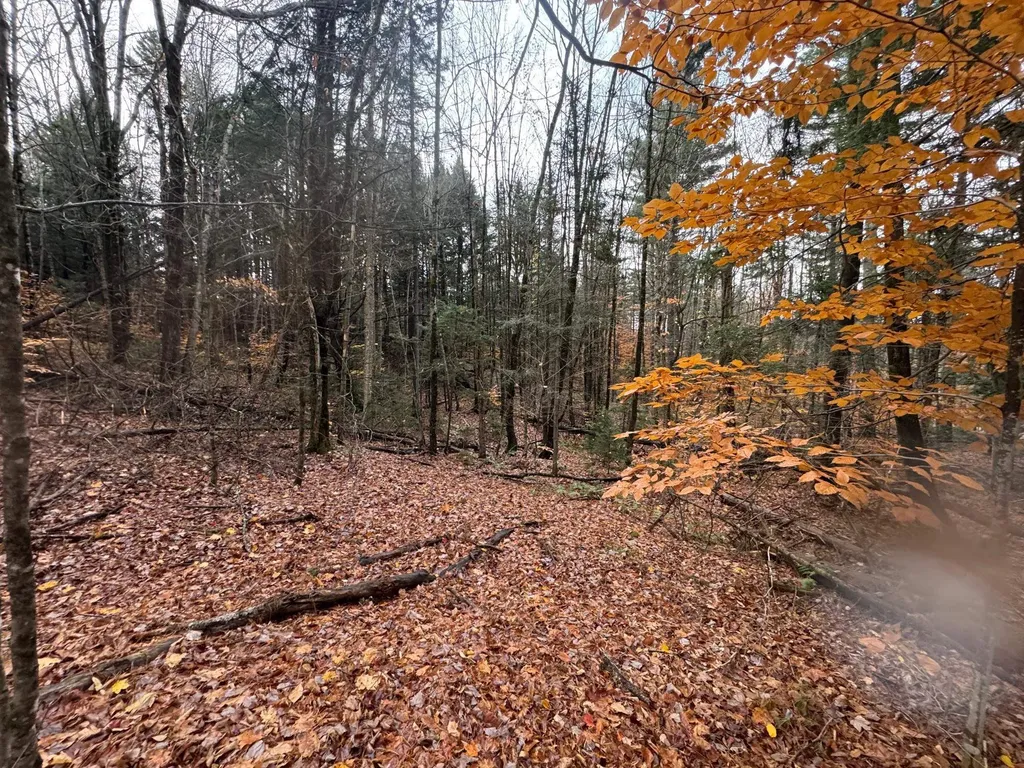 41 E Hampshire Hill Road Worcester VT 05682