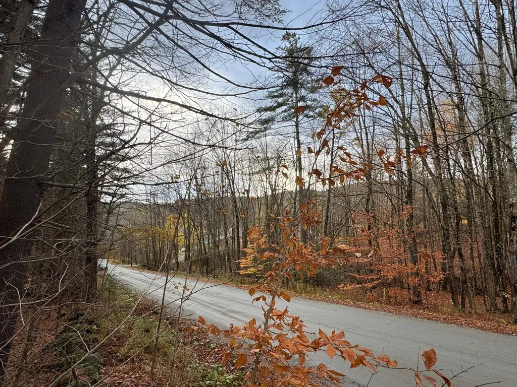 41 E Hampshire Hill Road Worcester VT 05682