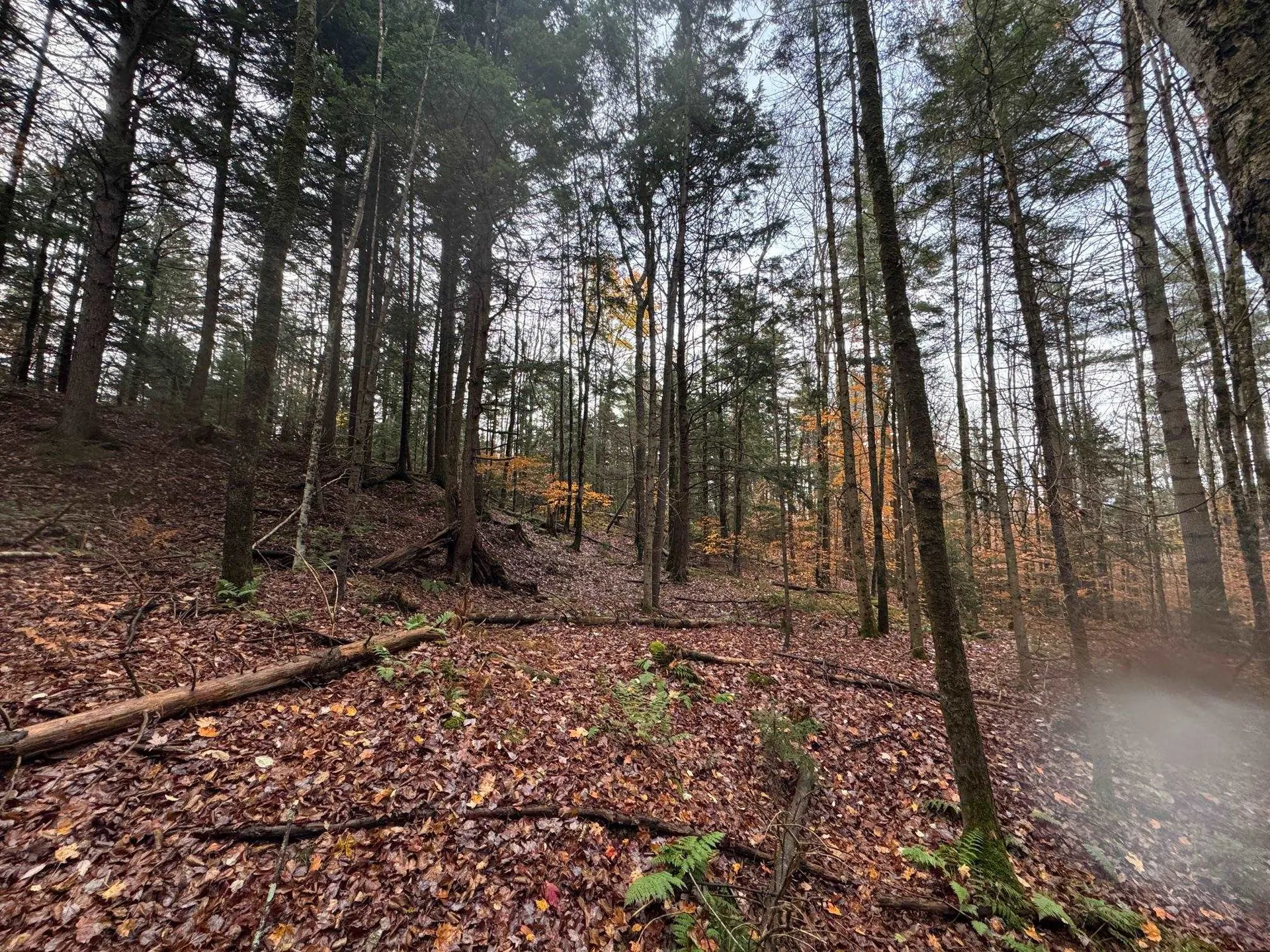 41 E Hampshire Hill Road Worcester VT 05682