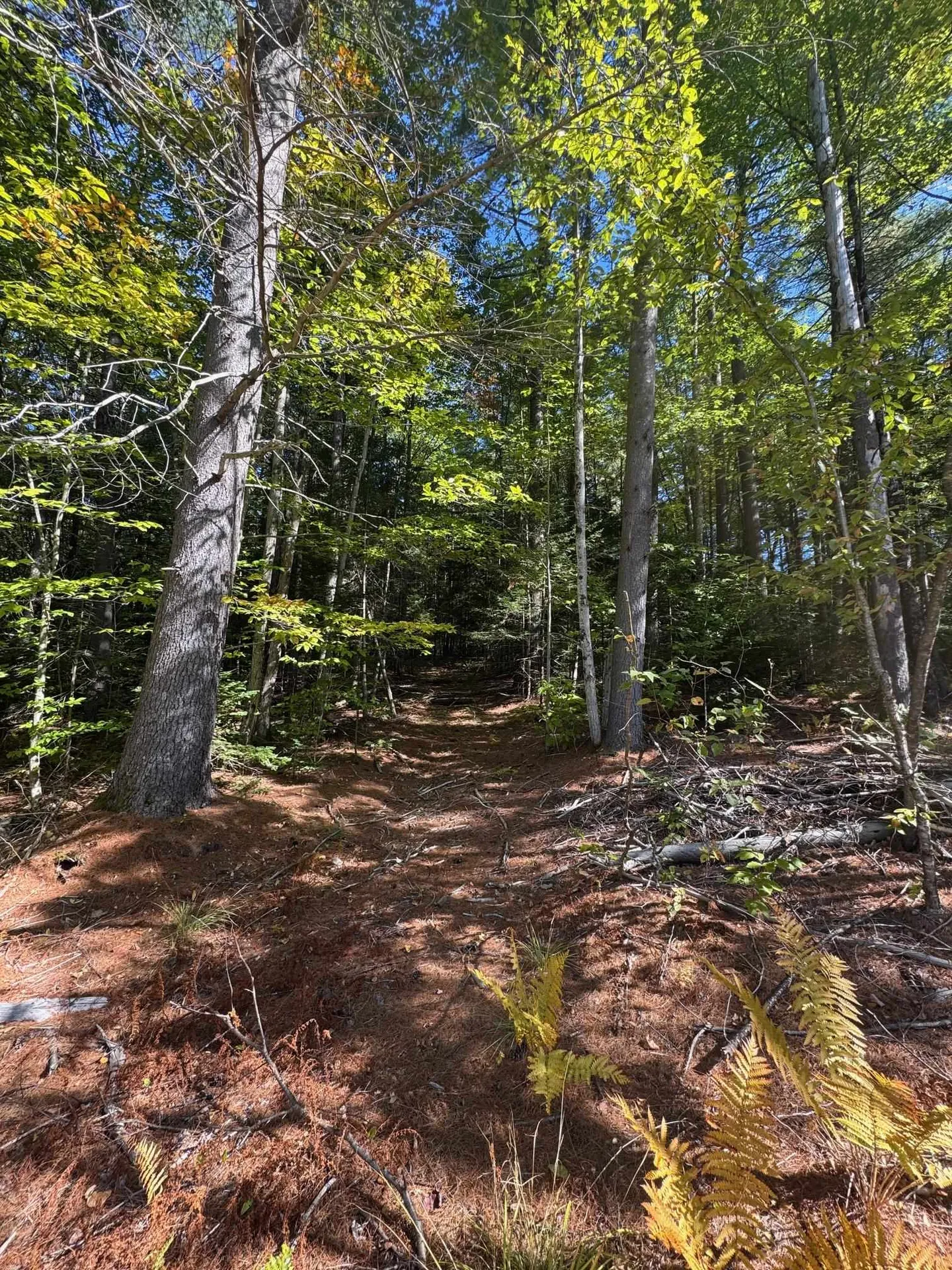 41 E Hampshire Hill Road Worcester VT 05682