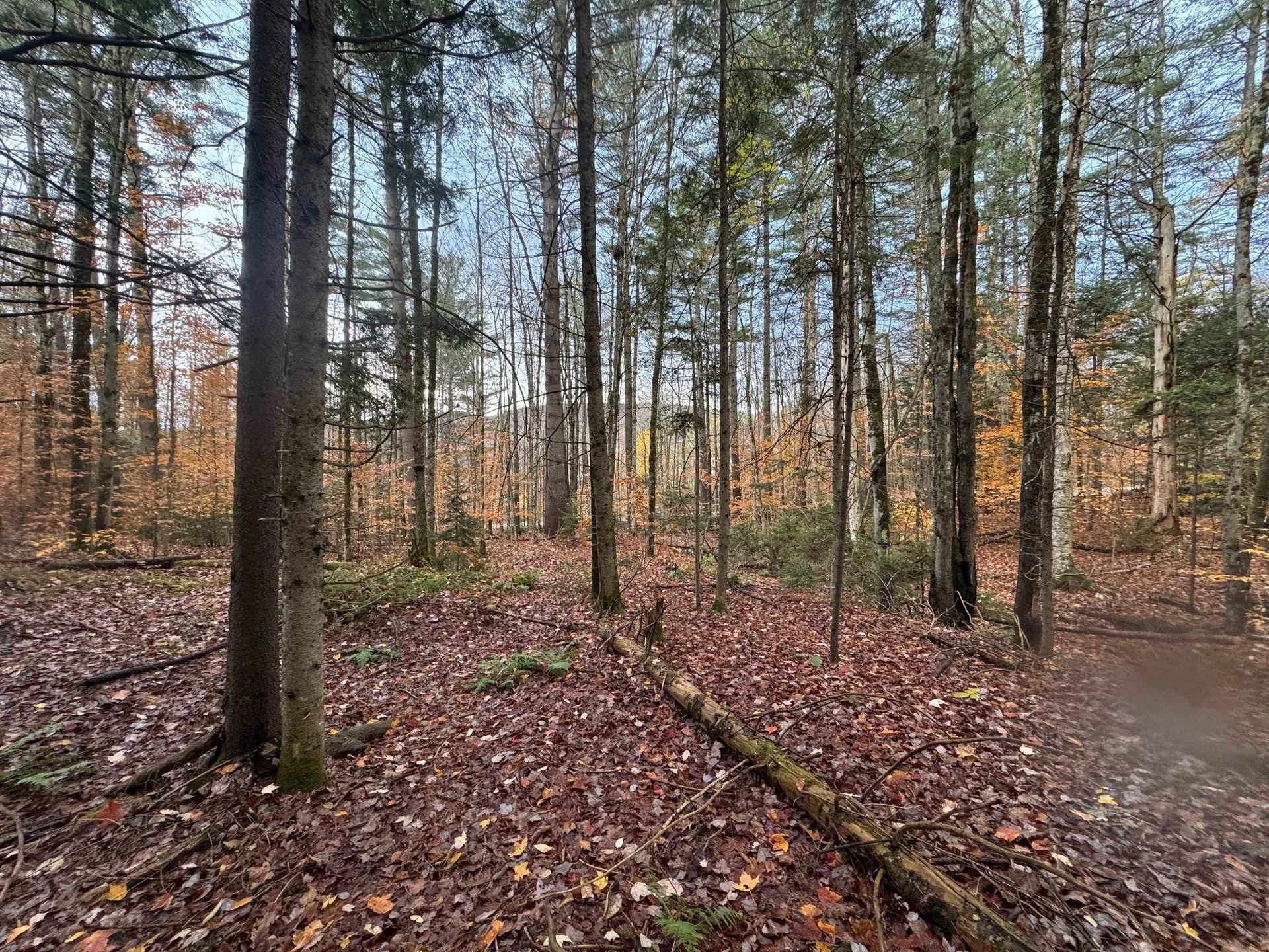 41 E Hampshire Hill Road Worcester VT 05682