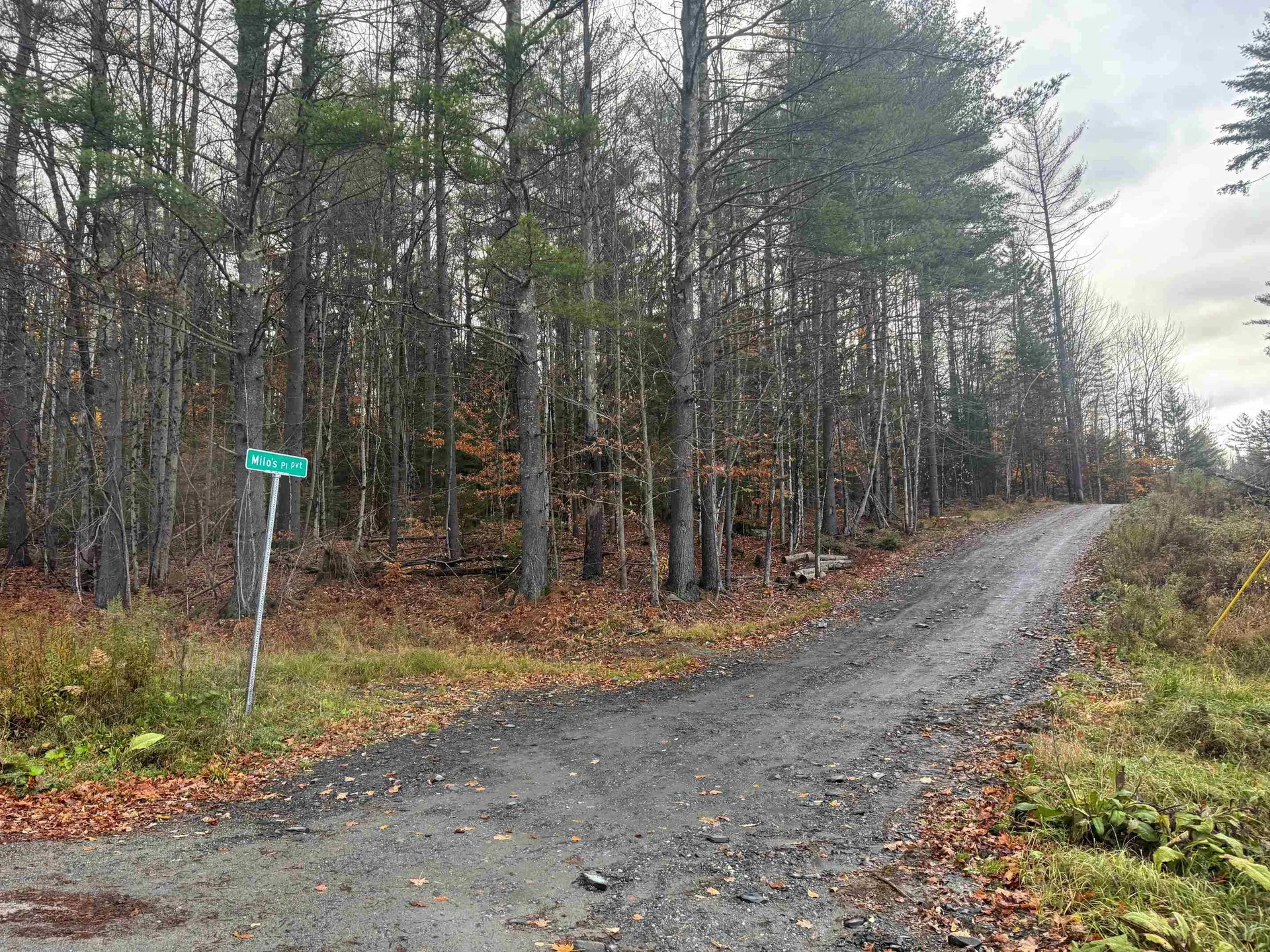 41 E Hampshire Hill Road Worcester VT 05682