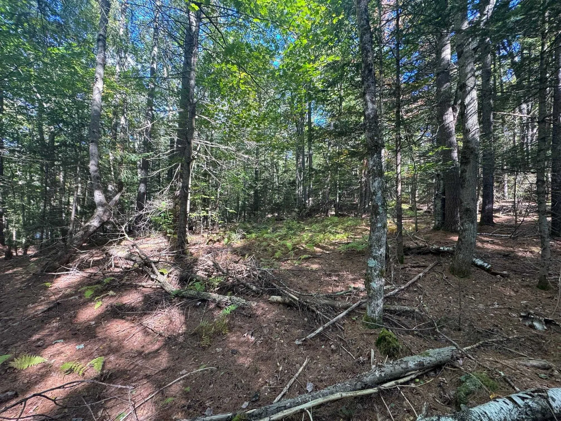 41 E Hampshire Hill Road Worcester VT 05682