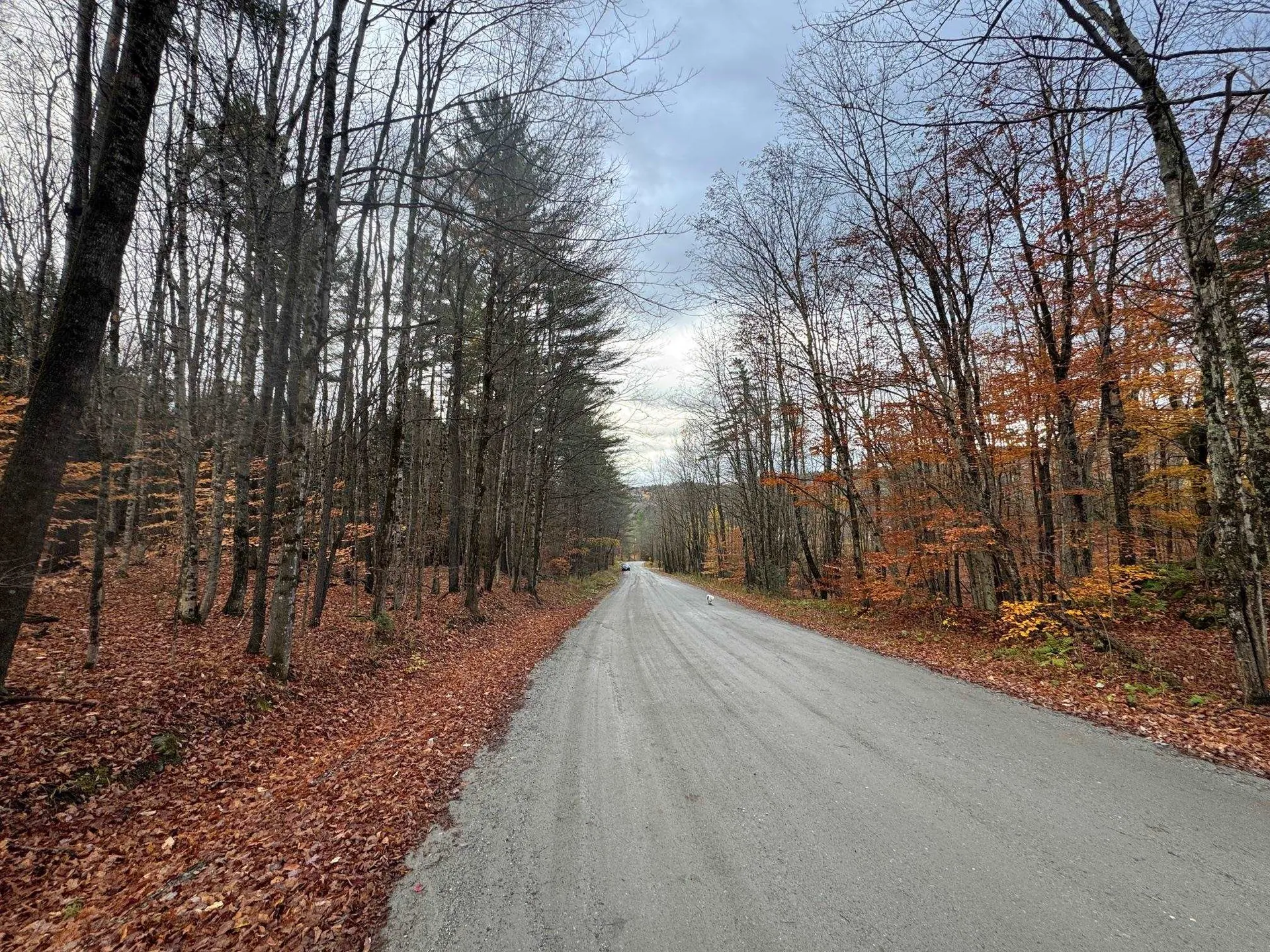 41 E Hampshire Hill Road Worcester VT 05682