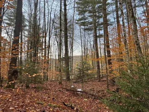 41 E Hampshire Hill Road Worcester VT 05682