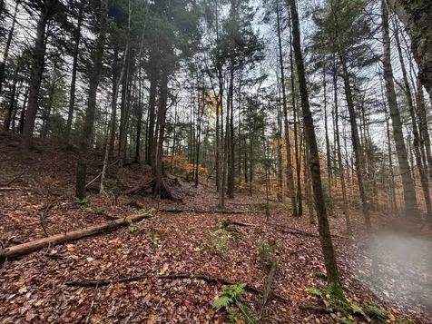 41 E Hampshire Hill Road Worcester VT 05682