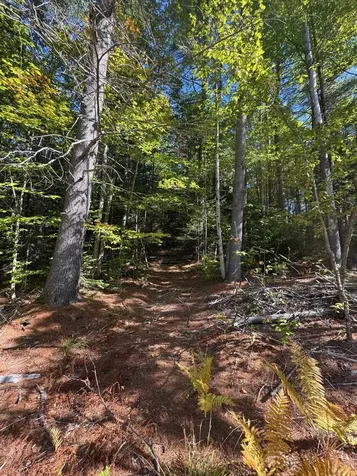 41 E Hampshire Hill Road Worcester VT 05682