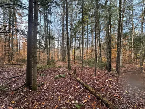 41 E Hampshire Hill Road Worcester VT 05682