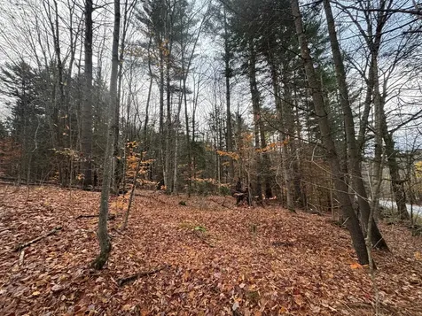 41 E Hampshire Hill Road Worcester VT 05682