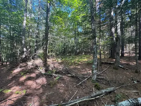 41 E Hampshire Hill Road Worcester VT 05682