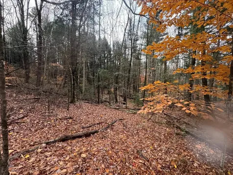 41 E Hampshire Hill Road Worcester VT 05682