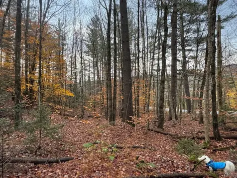 41 E Hampshire Hill Road Worcester VT 05682