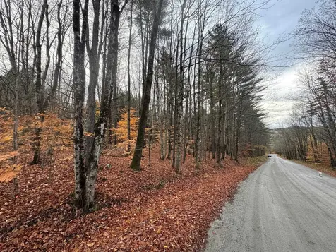 41 E Hampshire Hill Road Worcester VT 05682