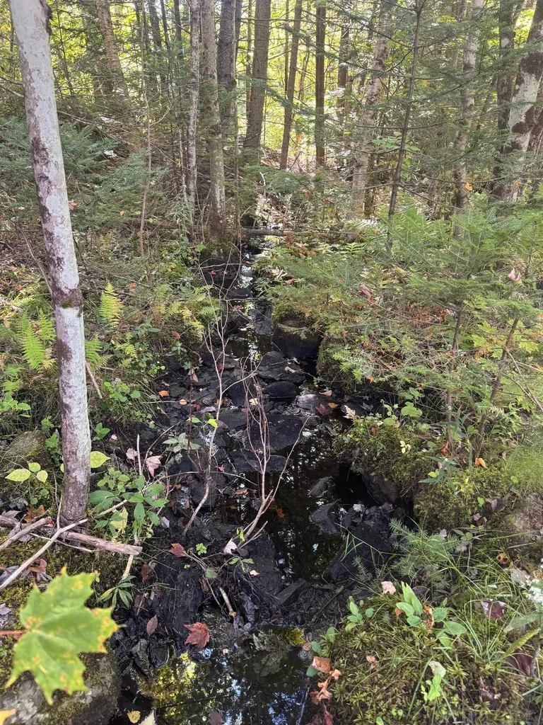 10 Hampshire Hill Road Worcester VT 05682