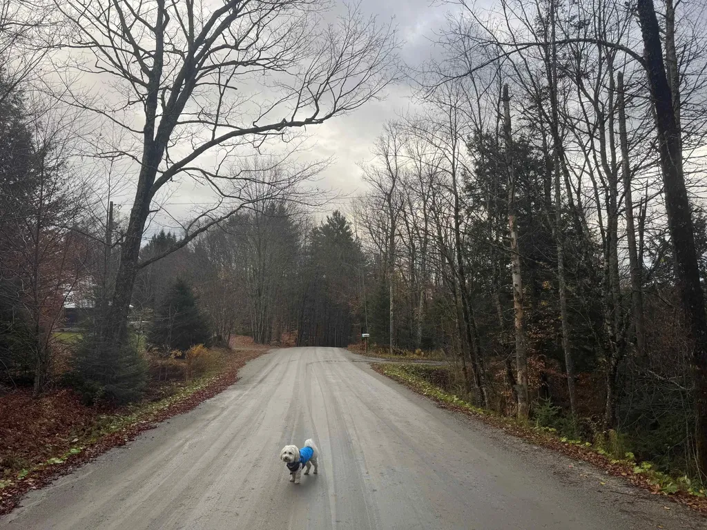 10 Hampshire Hill Road Worcester VT 05682