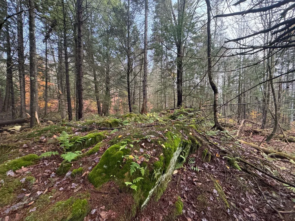 10 Hampshire Hill Road Worcester VT 05682