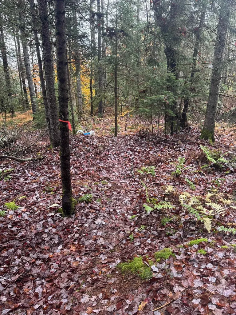 10 Hampshire Hill Road Worcester VT 05682