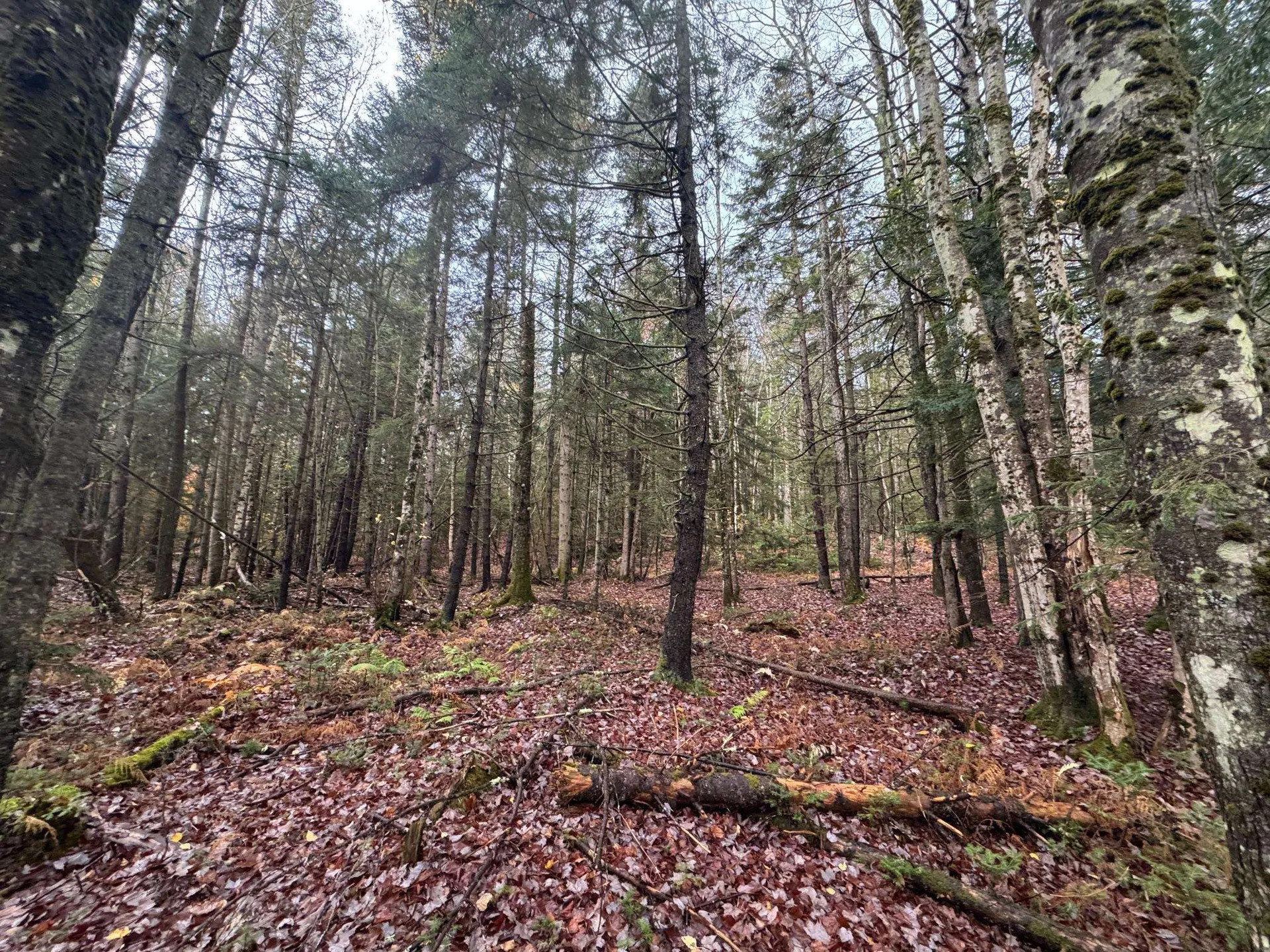 10 Hampshire Hill Road Worcester VT 05682