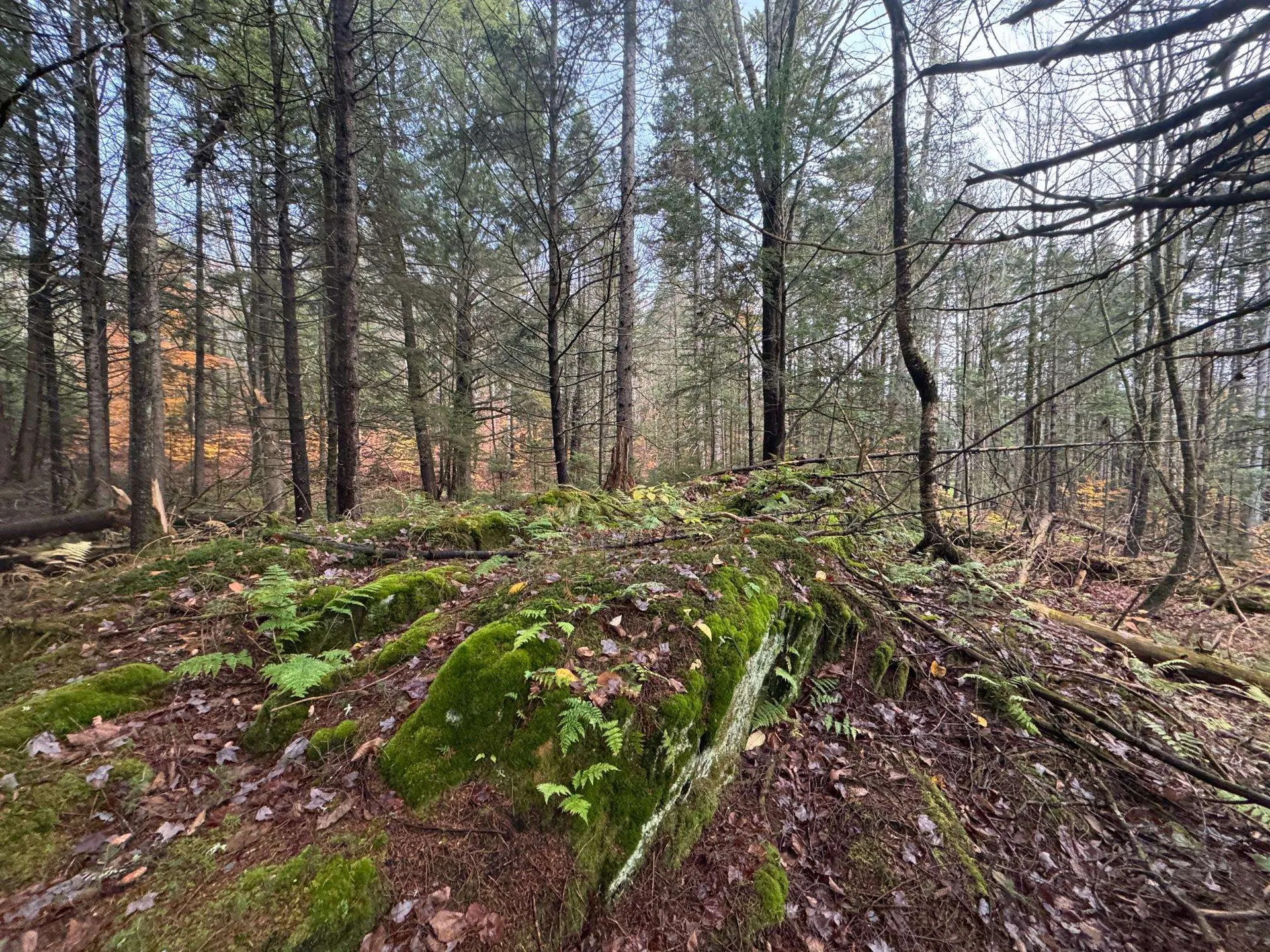 10 Hampshire Hill Road Worcester VT 05682