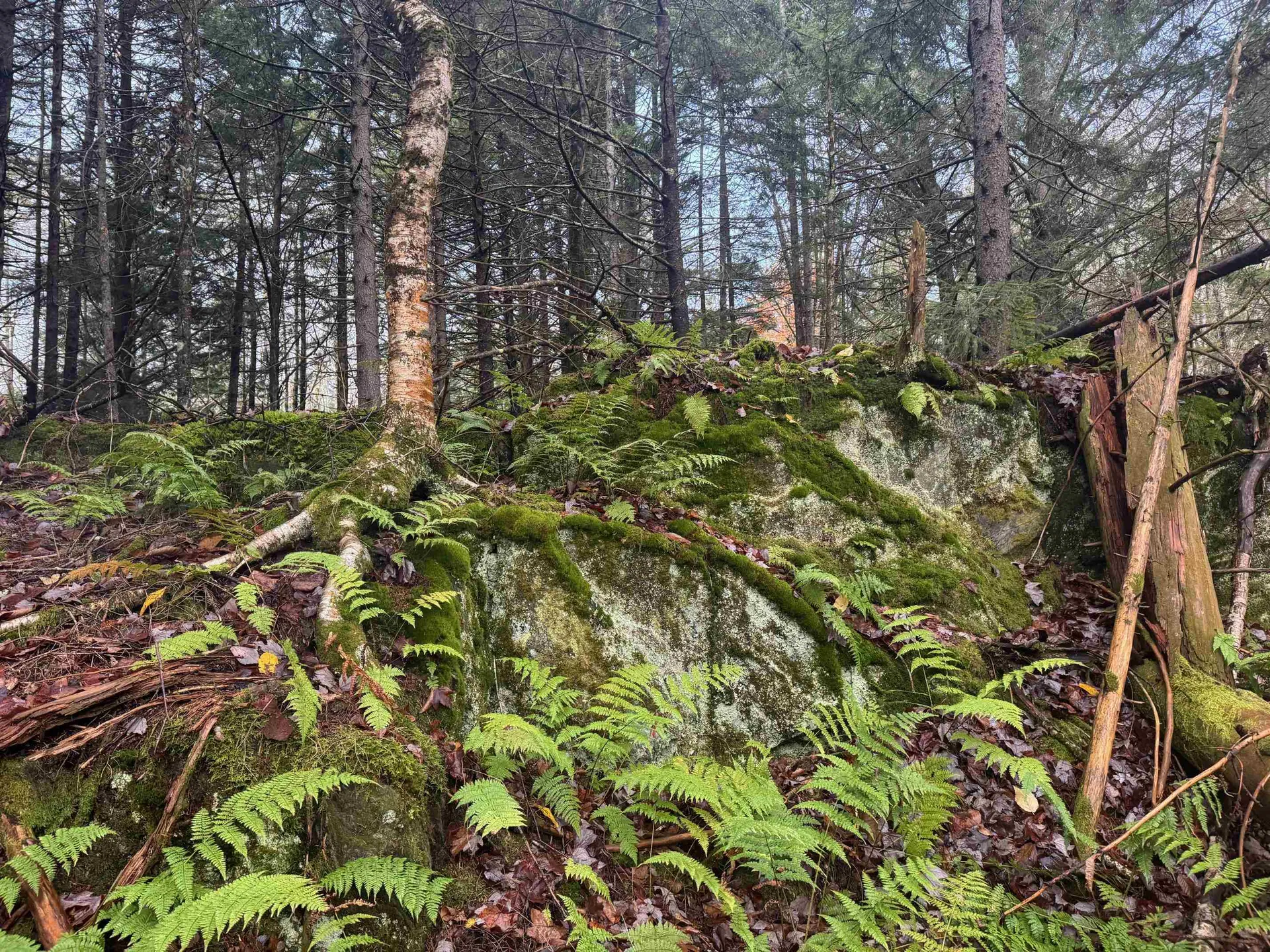 10 Hampshire Hill Road Worcester VT 05682