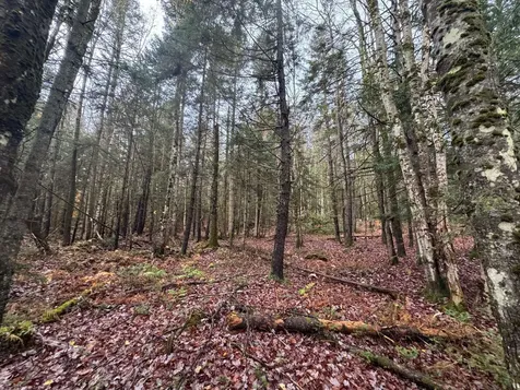 10 Hampshire Hill Road Worcester VT 05682