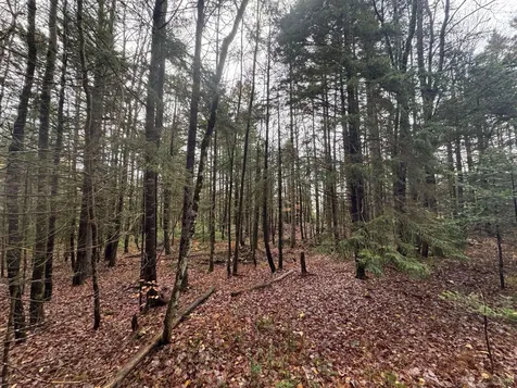 10 Hampshire Hill Road Worcester VT 05682