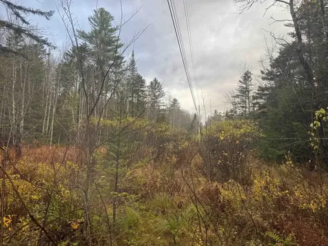 10 Hampshire Hill Road Worcester VT 05682