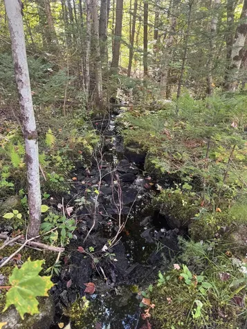 10 Hampshire Hill Road Worcester VT 05682