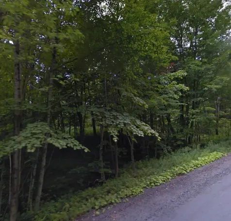 10 Hampshire Hill Road Worcester VT 05682