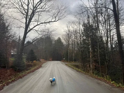 10 Hampshire Hill Road Worcester VT 05682