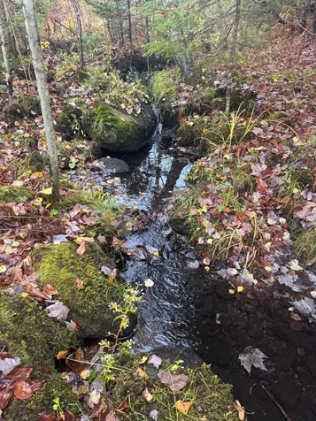 10 Hampshire Hill Road Worcester VT 05682