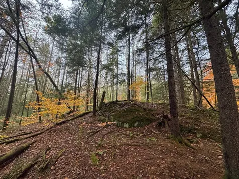 10 Hampshire Hill Road Worcester VT 05682