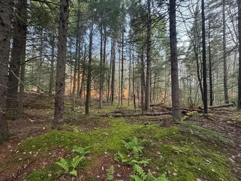 10 Hampshire Hill Road Worcester VT 05682