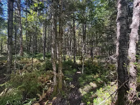 10 Hampshire Hill Road Worcester VT 05682