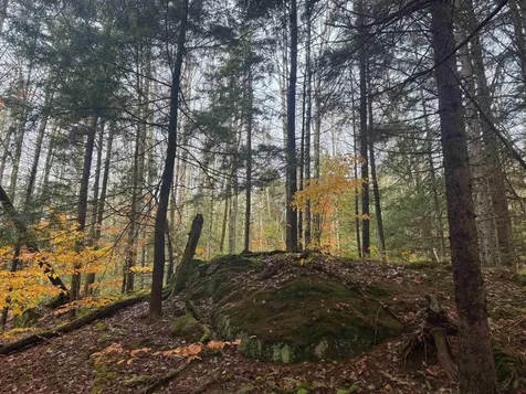 10 Hampshire Hill Road Worcester VT 05682