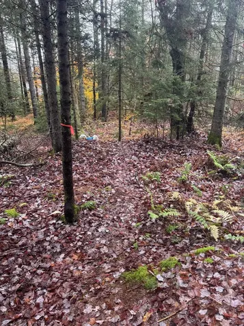 10 Hampshire Hill Road Worcester VT 05682