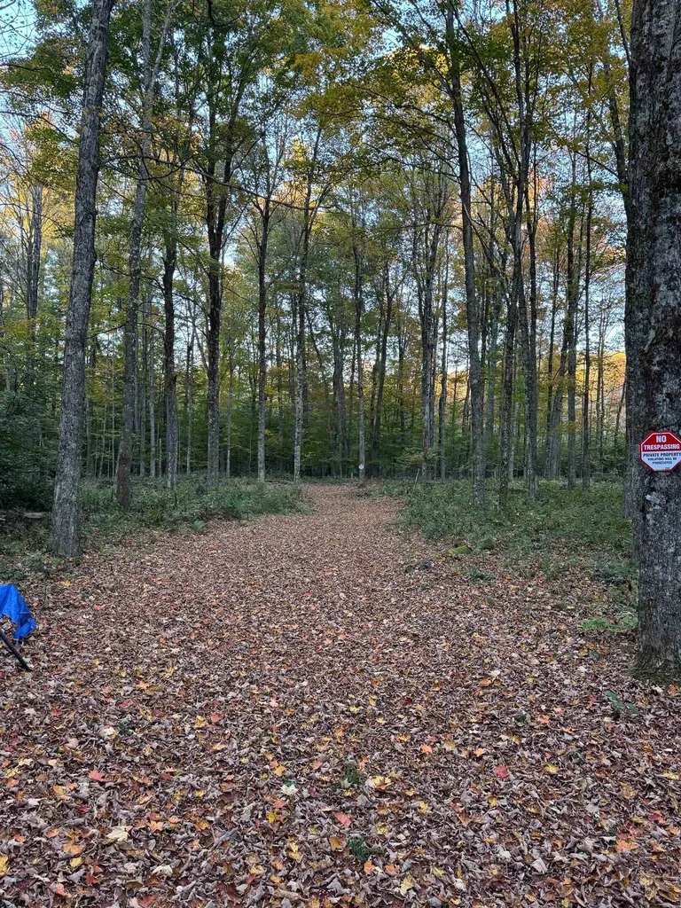 777 Butternut Gutter Arlington VT 05250