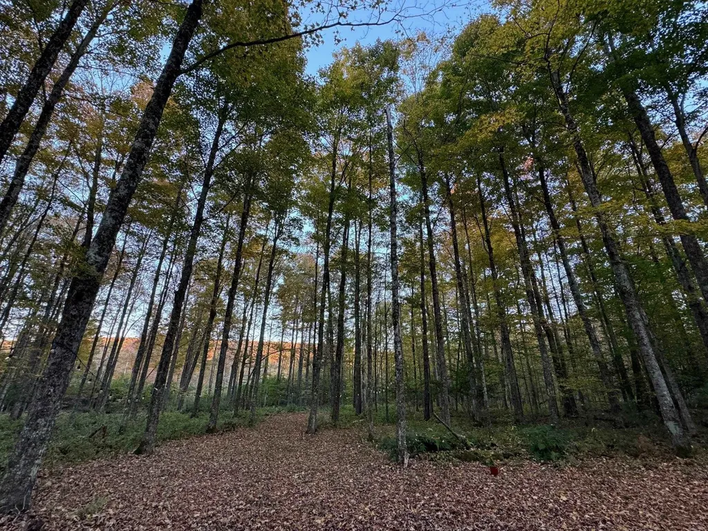 777 Butternut Gutter Arlington VT 05250