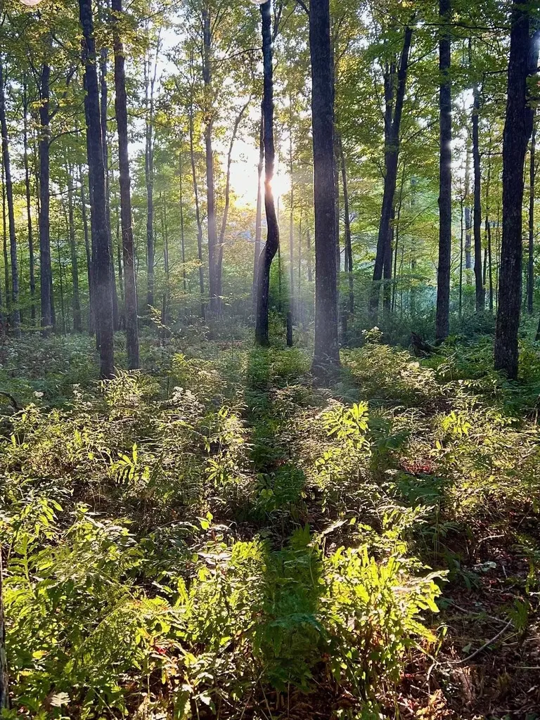 777 Butternut Gutter Arlington VT 05250