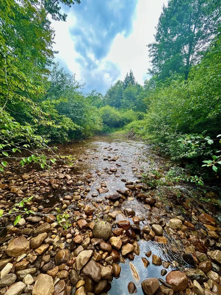 777 Butternut Gutter Arlington VT 05250