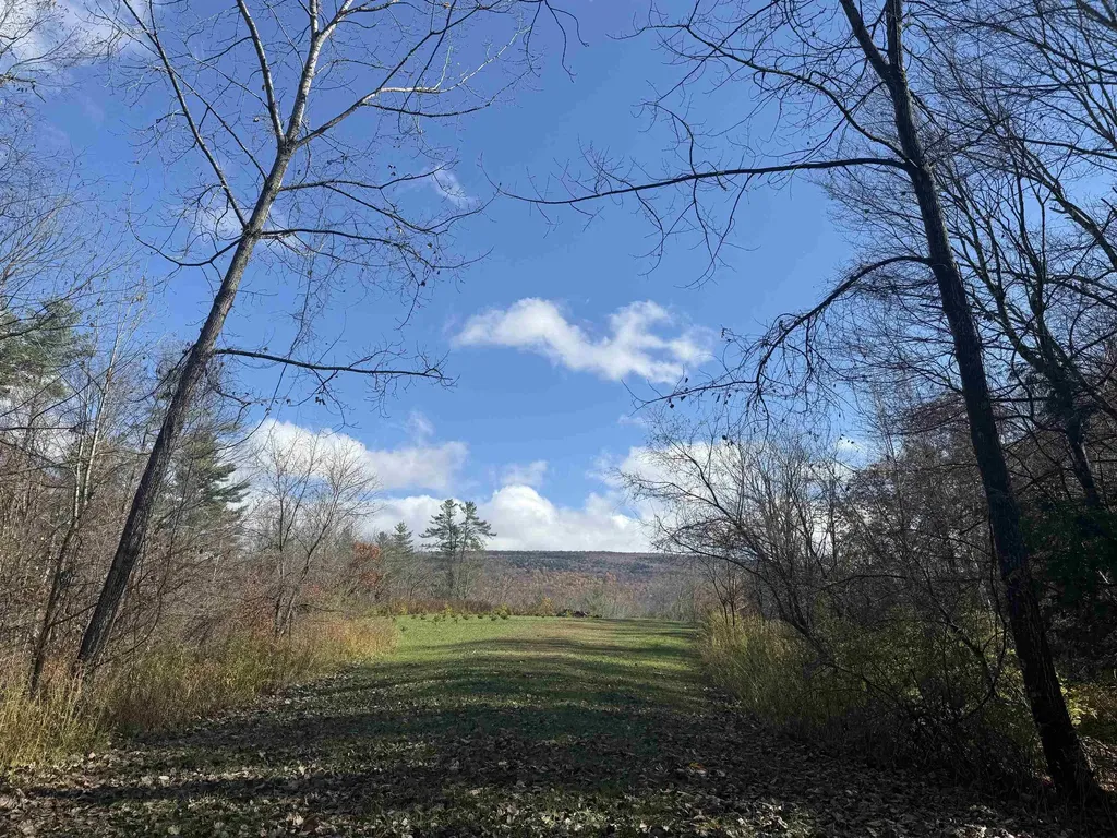 777 Butternut Gutter Arlington VT 05250