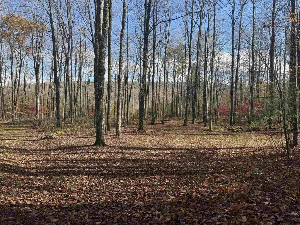 777 Butternut Gutter Arlington VT 05250